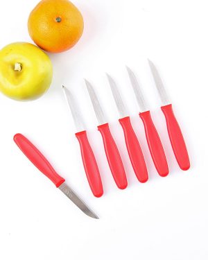 Plastik Saplı 6 Lı Meyve Bıçağı