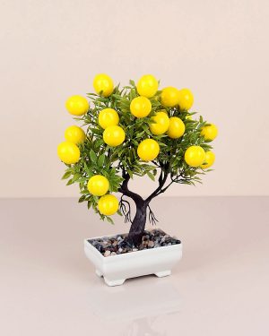 Home Saksılı Limon Ağacı