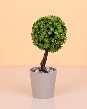 Mini Top Ağaç